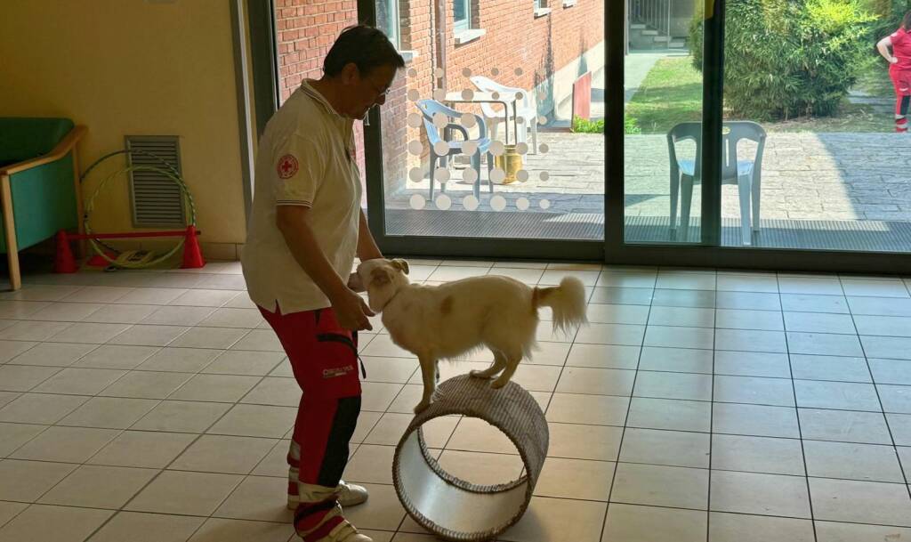 Unità cinofila Croce Rossa in ospedale 