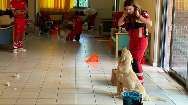 Unità cinofila Croce Rossa in ospedale 