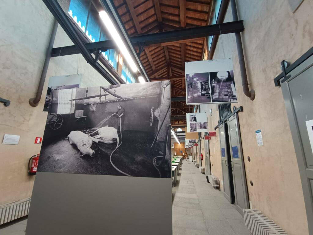 "Cultura e progetti nell'ex Macello", la mostra fotografica di Prospero Cravedi