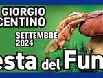 Festa del Fungo