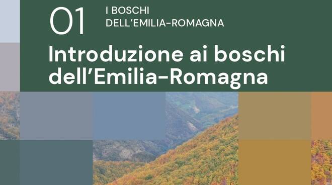 "I boschi dell'Emilia Romagna" copertina primo volume