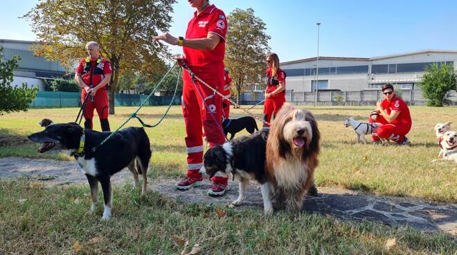 Imparare insegnando, il progetto Tice e Croce Rossa