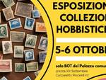 mostra hobbisti carpaneto